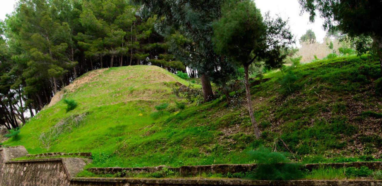 Antica Akragante Apartment Agrigento Con Parcheggio Bagian luar foto